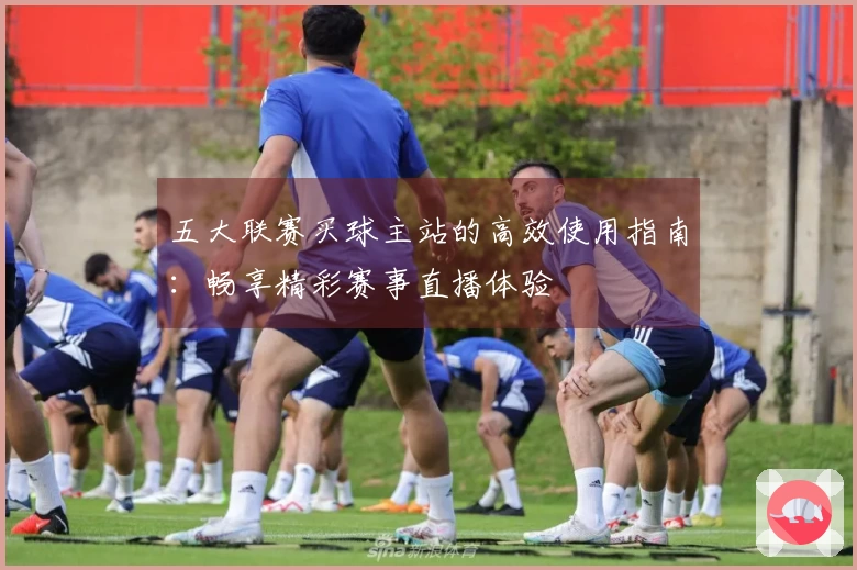 五大联赛买球主站的高效使用指南：畅享精彩赛事直播体验