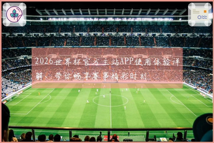 2026世界杯官方主站APP使用体验详解，带你畅享赛事精彩时刻