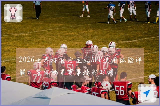 2026世界杯官方主站APP使用体验详解，带你畅享赛事精彩时刻