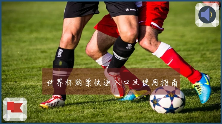 世界杯购票快速入口及使用指南