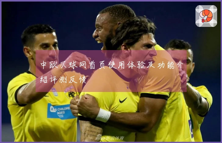中欧买球网首页使用体验及功能介绍评测反馈